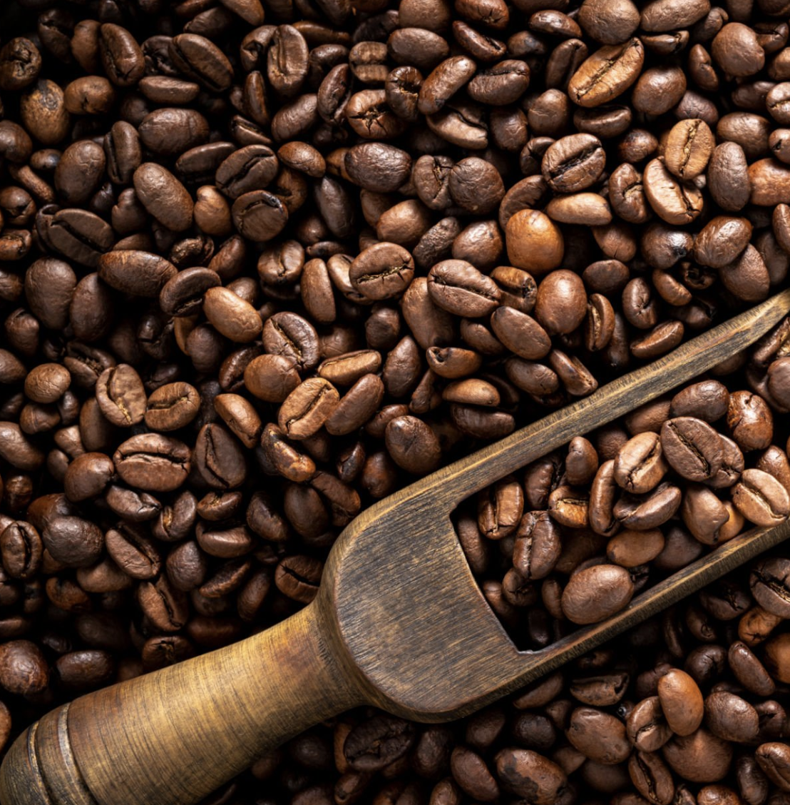 Madame Olivia Arabica coffee beans